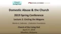 #2 "Circling the Wagons" from the Domestic Abuse and the Church Conference