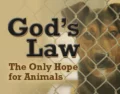 God’s Law: The Only Hope for Animals